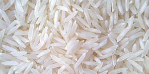 1121 Basmati Rice