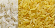Long Grain Rice