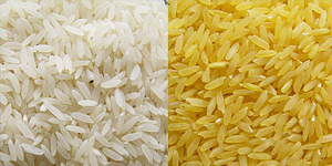 Long Grain Rice