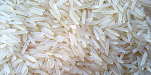 PUSA Basmati Rice