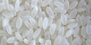 Short Grain Ric