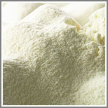 Skimmed Milk Powder