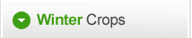RGSL Agro