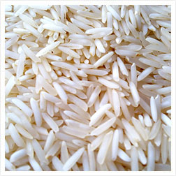 PUSA Steam Basmati Rice
