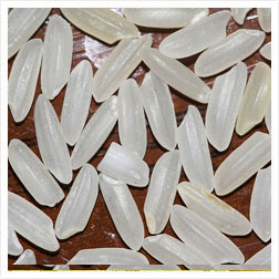 Sona Masoori Rice